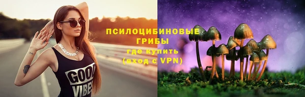 соль ск Волосово