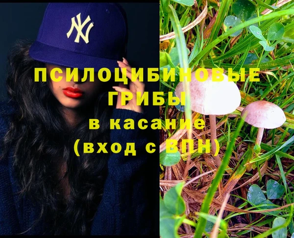 спиды Осташков